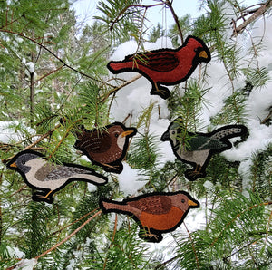 Bird Ornament Kits